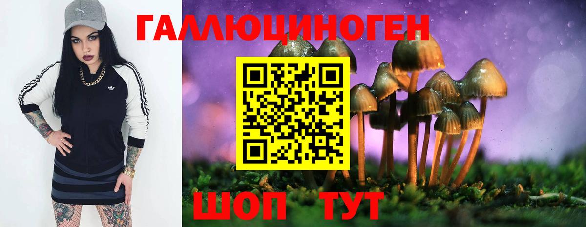 Галлюциногенные грибы Magic Shrooms  где купить наркоту  Балашиха  Вход с VPN 
